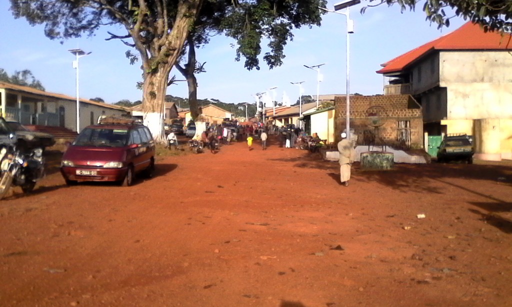 Accusée de semer le désordre à Ninguelandé, l’ONG Guinée Futur réplique « ils font la cour à nos femmes »
