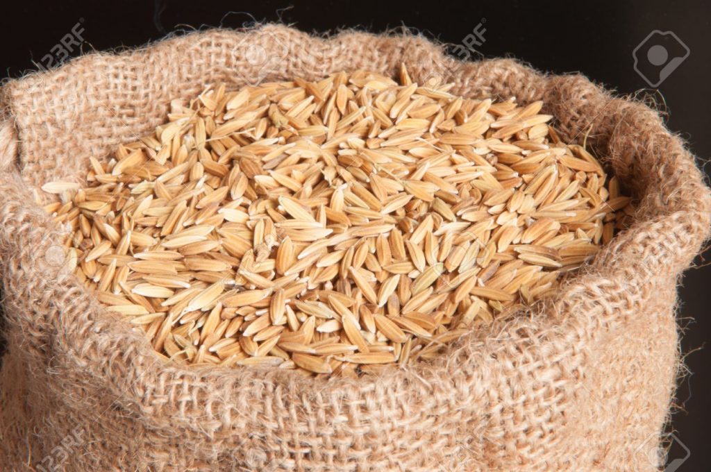 Agriculture : la Guinée vole au secours du Nigeria