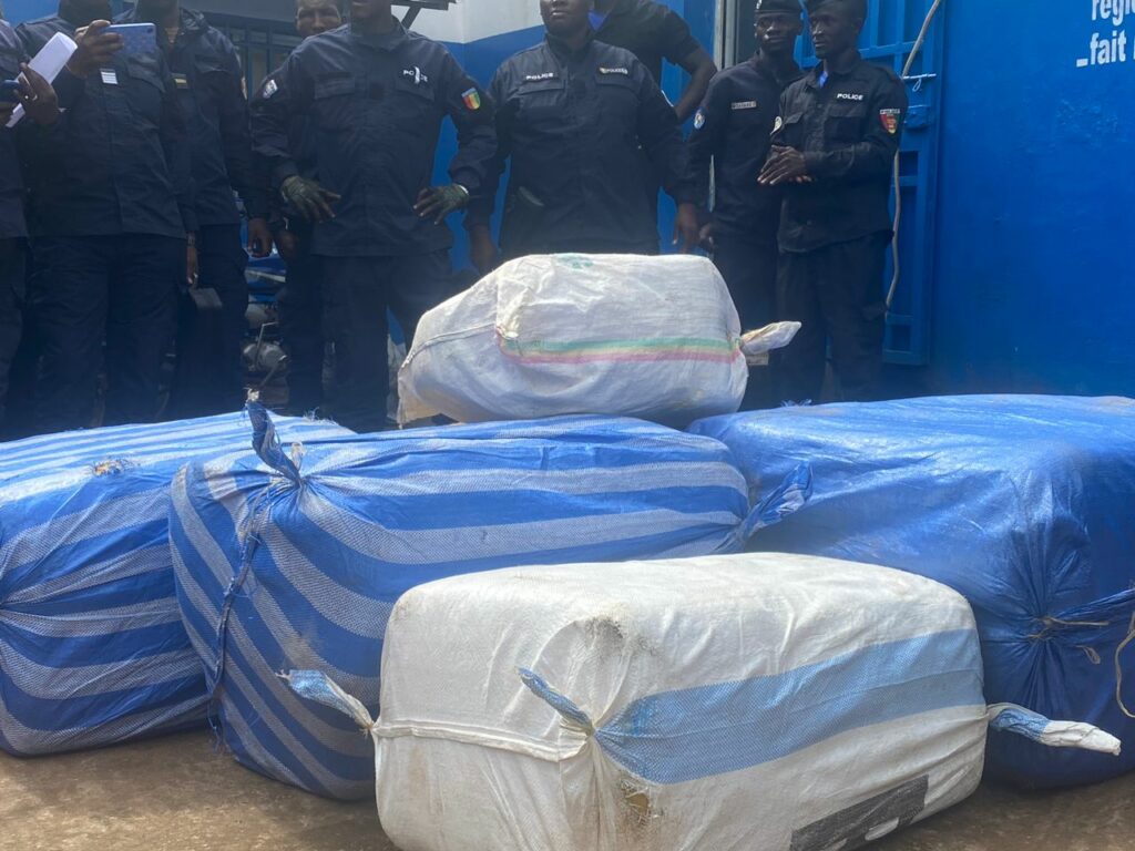 Conakry : 700 kg de chanvre indien saisis dans une concession à Matam