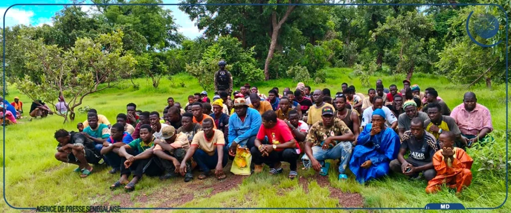 Sénégal : 97 orpailleurs clandestins, dont de nombreux Guinéens interpellés