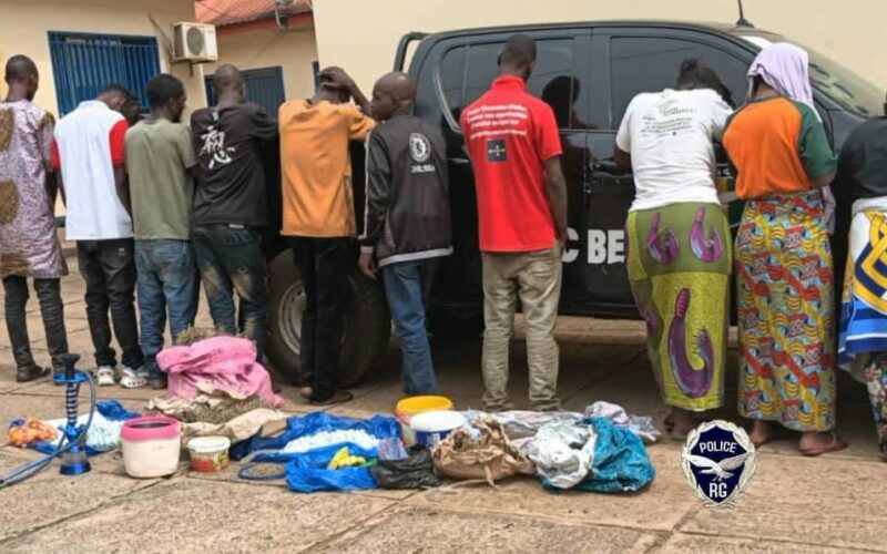 Beyla : saisie d’une importante quantité de drogue, 12 suspects arrêtés