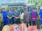 Lola : la police saisit plus de 200 kg de chanvre et d&rsquo;importants équipements