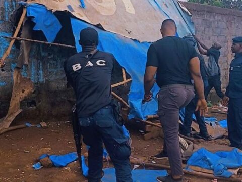 Drogue et réseaux criminels à Conakry : la justice somme la Police et la Gendarmerie d&rsquo;agir